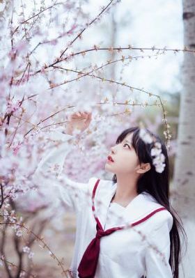 年轻的后妈在线